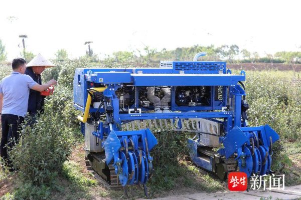 园十州 无人驾驶一体化设备 助推茶叶生产智能化升级