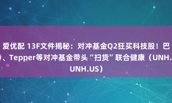 爱优配 13F文件揭秘：对冲基金Q2狂买科技股！巴菲特、Tepper等对冲基金带头“扫货”联合健康（UNH.US）