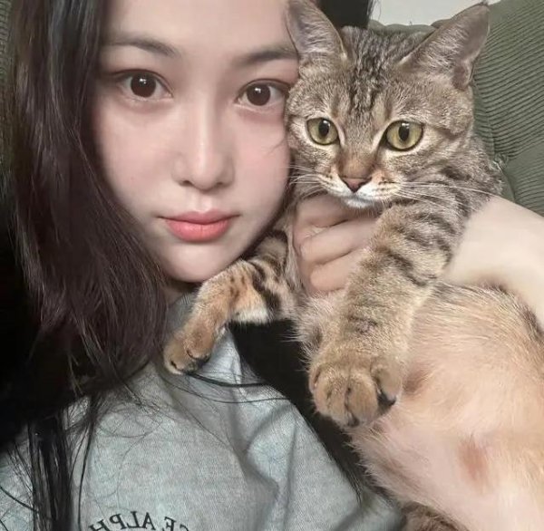 牛达人配资 张馨予家2猫1狗超有爱，何捷大裤衩出镜，温柔梳毛暖哭谁？