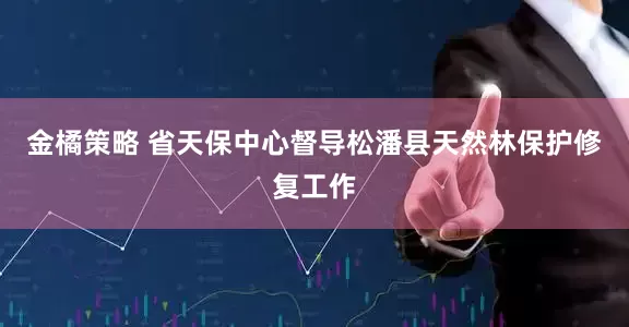 金橘策略 省天保中心督导松潘县天然林保护修复工作